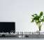 Houseplants Might Be Behind Your Sluggish Wi-Fi